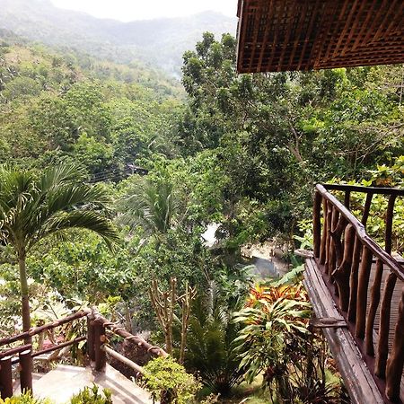 Hilltop Cottages Loboc Dış mekan fotoğraf